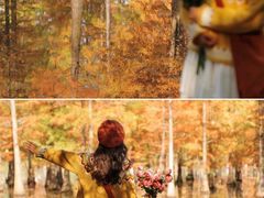 -白鹭湾湿地公园