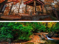 -光雾山旅游景区