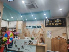 -东日国际动物医院·CT·心脏专科(桃源分院)