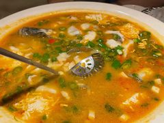 鲜椒豆花鲈鱼-川味堂·四川豆花(八卦岭店)