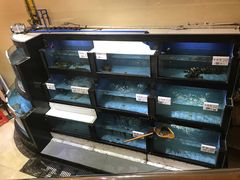 水产区-岭南海晏楼(东晓南店)