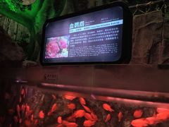 -泉城欧乐堡海洋极地世界