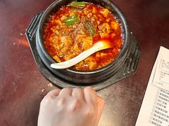 -陈麻婆豆腐总店
