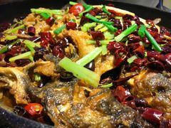 -老板恋上鱼(恒隆广场店)