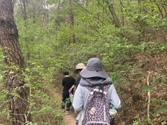 -木兰云雾山