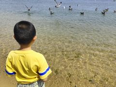 -海驴岛(荣成市)