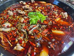 -蛙老爹·蜀香美蛙鱼头(王家湾店)