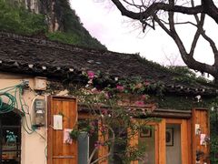 -村上春树