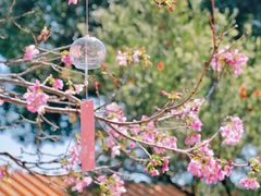 -宝墨园景区