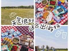 -春花秋色城市公园