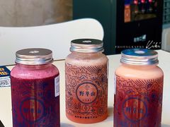 -野萃山·潮汕厚果汁(十亩地店)
