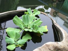 iphone_upload_pic-荷香居(洞企石路店)