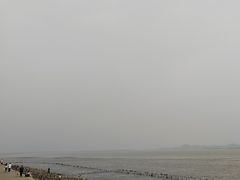-深圳湾公园(南山区)