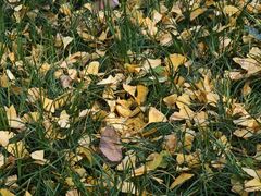 -孙庆海腊牛肉店(大皮院店)