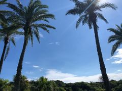 -鹅銮鼻公园
