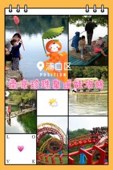 -珍珠泉水上世界