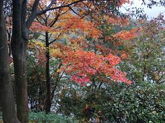 -天目湖涵田度假村