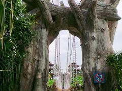 -巴拉湾海滩