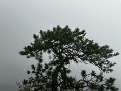 -萍乡武功山风景名胜区