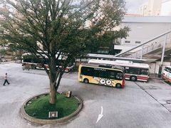 -三鹰之森吉卜力美术馆