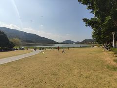 -风云岭森林公园