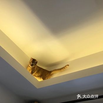 j昨天答应大家的后续，窜天猴