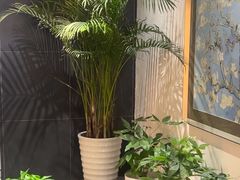 -黑松白鹿(金融街店)