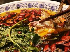杨记招牌鱼-杨记隆府(时代天街店)