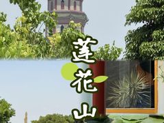 -广州莲花山旅游区