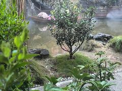 -耕渔小院·湖南鱼鲜(望城店)