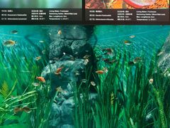 -上海海洋水族馆