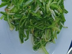 青龙菜-新峰肉骨茶