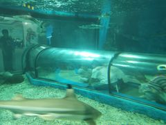 -福州罗源湾海洋世界旅游区