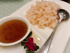 滑炒河虾仁-顺风酒店(长寿路店)