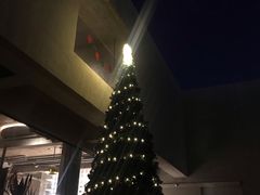 -三秋舍·梦幻岛(小西路店)