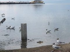 -青海湖二郎剑景区