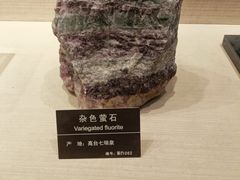 -甘肃地质博物馆