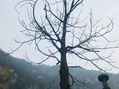 -青龙山生态文化旅游区(慈云寺)