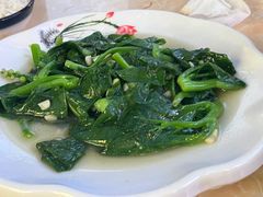 -大富蚝乌东哥饭店·石锅鱼杂·柠檬鸭(革新路店)