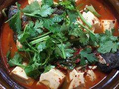 砂锅弓鱼-苍洱春饭店