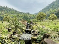 -广州市石门国家森林公园
