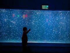 -太平洋海底世界