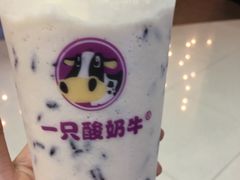 -一只酸奶牛(来福士店)