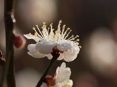 -鹫峰国家森林公园