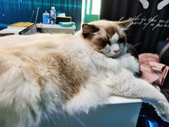 -零纪元VR体验馆·桌游(黄浦店)