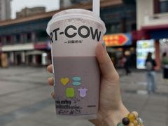 -一只酸奶牛(奎星楼店)