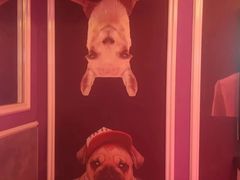 -AGOGO HOUSE KTV(东街店)