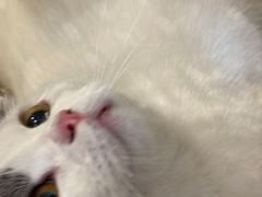 -贝康宠物医院·犬猫全科·小动物特色诊疗中心(东环路店)