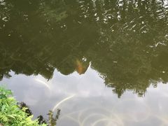 -成都市活水公园
