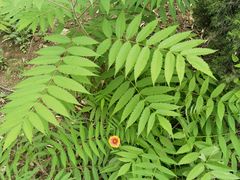 -沕沕水生态风景区